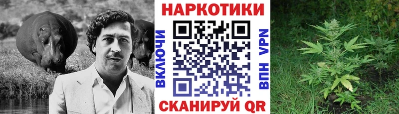 Купить наркотики цена Аргун APVP MDMA Конопля Меф
