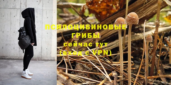 МДПВ Алексеевка