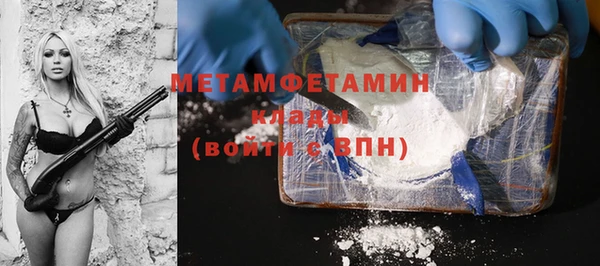 ПСИЛОЦИБИНОВЫЕ ГРИБЫ Михайлов